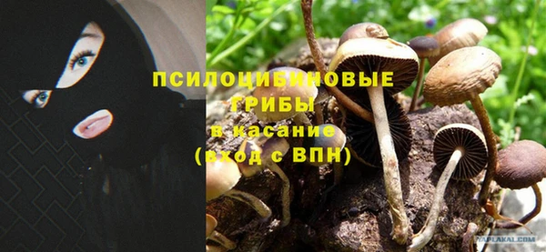 герыч Аркадак