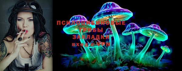 2c-b Покачи