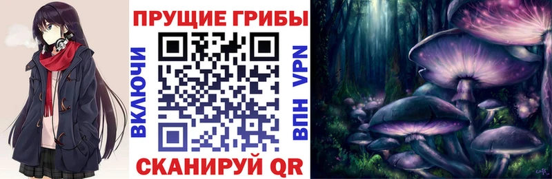 Псилоцибиновые грибы Psilocybe  Ахтубинск 